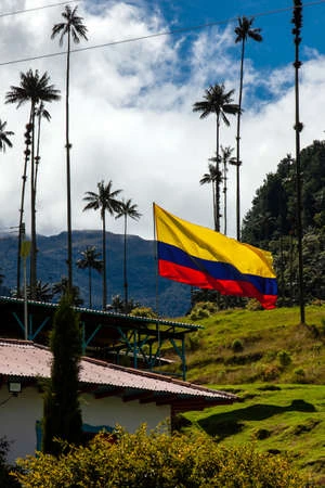image colombia