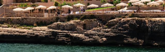 Cocinero - Chef de línea