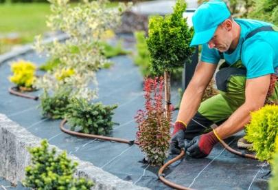 RESPONSABLE DE JARDINERÍA EN EL ESCORIAL